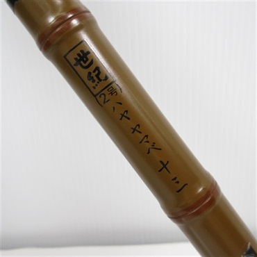 世紀ハエヤマベ２号十三